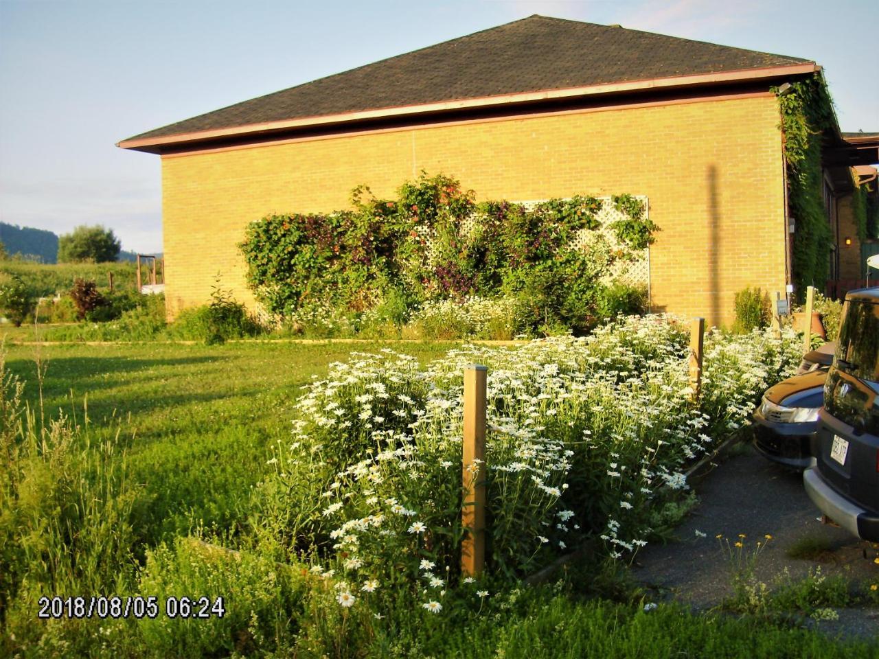 Auberge Internationale La Vieille Ecole Sainte Anne-des-Chênes المظهر الخارجي الصورة